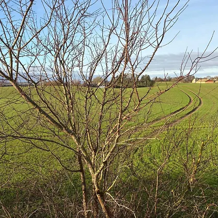 Amazing In With Wifi *