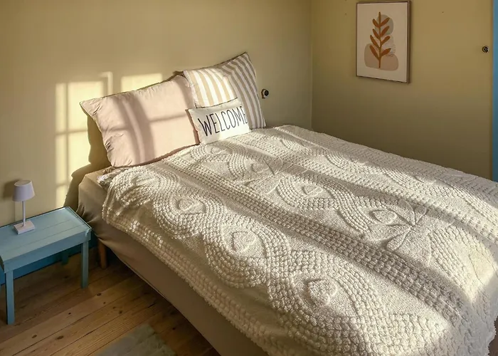 Amazing In With Wifi *